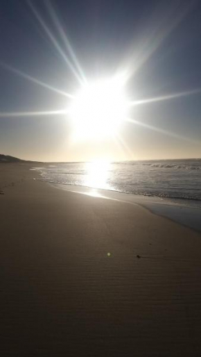 Paradise